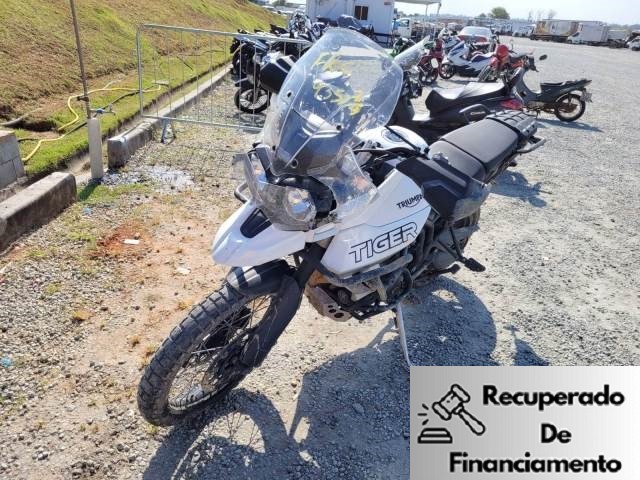 TIGER 800 XCX